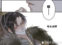 二哈,楚晚宁,踏仙君,墨微雨,墨宗师