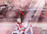 王者荣耀:诸葛亮武陵仙君cos,熊叔