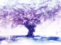 二次元樱花美图