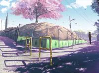 二次元樱花盛开的背景图片