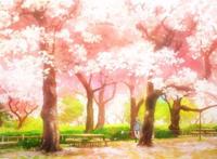 动漫二次元樱花图片