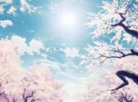 梦幻图片樱花二次元动漫图片