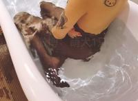 萌犬一只twitter 福利姬黑丝情趣图