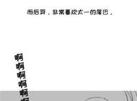 后羿东皇太一 羿东 后羿东皇太一 羿东