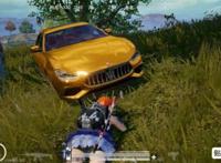 和平精英女性玩家内裤黑丝蕾边