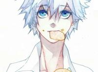 王者荣耀 赵云诸葛亮