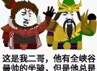 关羽强x张飞王者本子