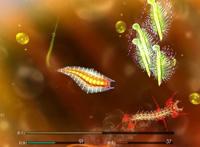 《进化的秘密》switch版