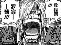  海贼王山治救援罗宾的话语，增加了对他无数的解读！