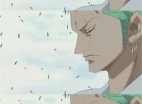 海贼王/索罗/路飞