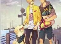 海贼王这些CP结婚后的日常