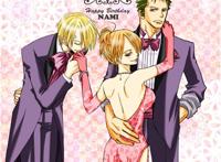 海贼王索娜cp图 香娜cp