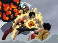 路飞一直把艾斯当做亲哥哥.