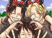 三兄弟 asl 艾斯萨博 路飞