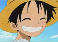 all路即海贼王腐向同人本子之路飞总受,不接受