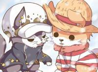 《海贼王》罗路cp,就是猫狗配!