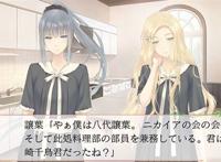 psv《flowers夏篇》日版