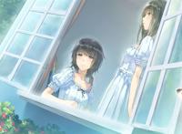 flowers – le volume sur été(夏篇)