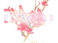 flowers夏篇 恋人结局、未满结局、离别结局、老师结局