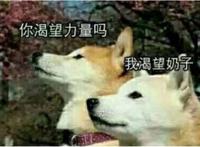 “自古肉番多燃曲”，正常的司机发车喽