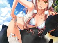 灵衣 fgo泳装二期梅芙灵衣