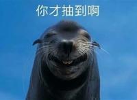 fgo都有哪些黑话和梗呢？