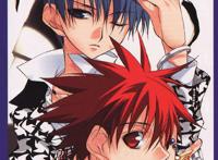 一些天使怪盗的图片