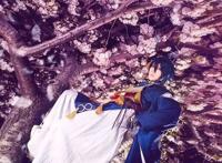 【cos正片】刀剑乱舞 三日鹤球