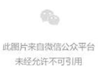 人气漫画《排球少年》长达约八年半的历史终于落下帷幕