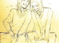 东欧百合组