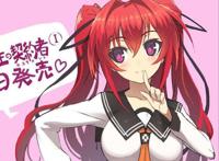 《新妹魔王的契约者》