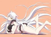 猫物语·羽川翼·萌萌哒·障猫·怪异·