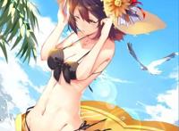 NCA画师：nextcgarts 本间芽衣子画册