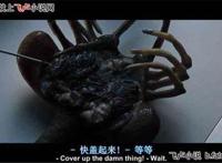 抱脸虫抱b污图欣赏