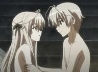 后宫动漫四大名作