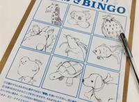 日本插画师ヘスン日系风插画