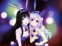 僵尸哪有那么萌的动漫