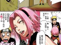 肉番本子:堕落国王