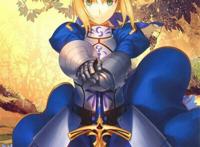 fate/stay night unlimited blade works fate/stay night unlimited blade works