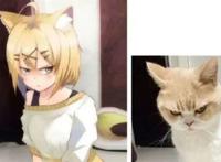 蟑螂娘vs猫娘 蟑螂娘更性感