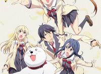 《笨女孩》她身上最突出的特点，就是——笨！