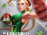 格斗家全攻略系列 嘉米