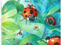  昆虫少女第二季第一季动漫图片图集