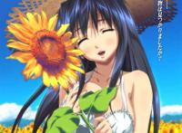 たからさがしのなつやすみ【前編】【中編】【後編】 たからさがしのなつやすみ【前編】【中編】【後編】