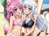 【dogdays动漫壁纸系列