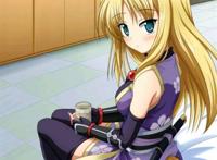 图(高质量)_dogdays