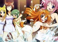 dogdays的,高清的图片