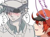 工作细胞 赤白cp