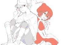 工作细胞ー白赤