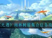 光遇雨林树屋集合任务怎么做?